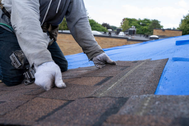 Best Roof Maintenance Services  in South Henderson, NC